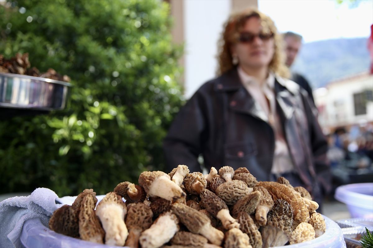 Fethiye\'de Mantar Festivali Coşkusu