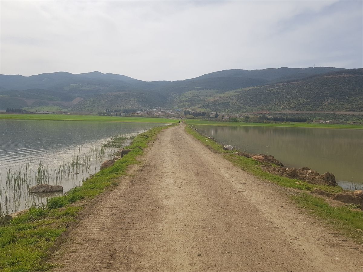 İslahiye\'de Tarım Arazileri Sular Altında