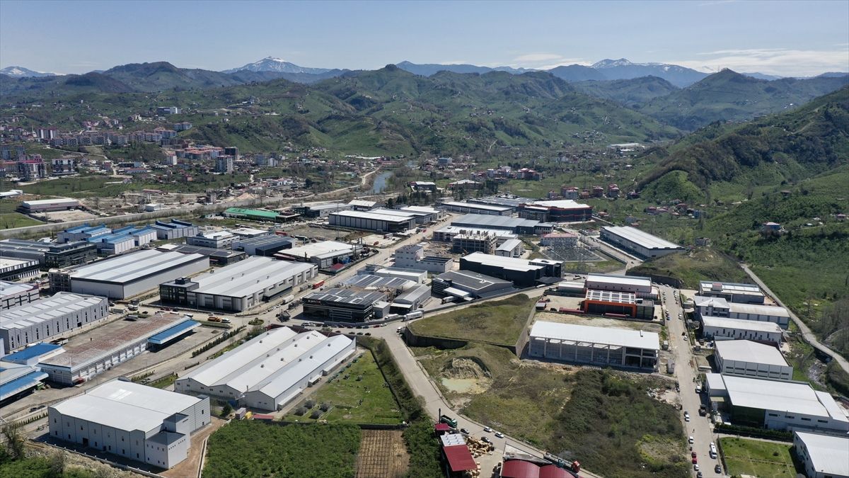 Giresun İhracatta Zirveye Çıktı