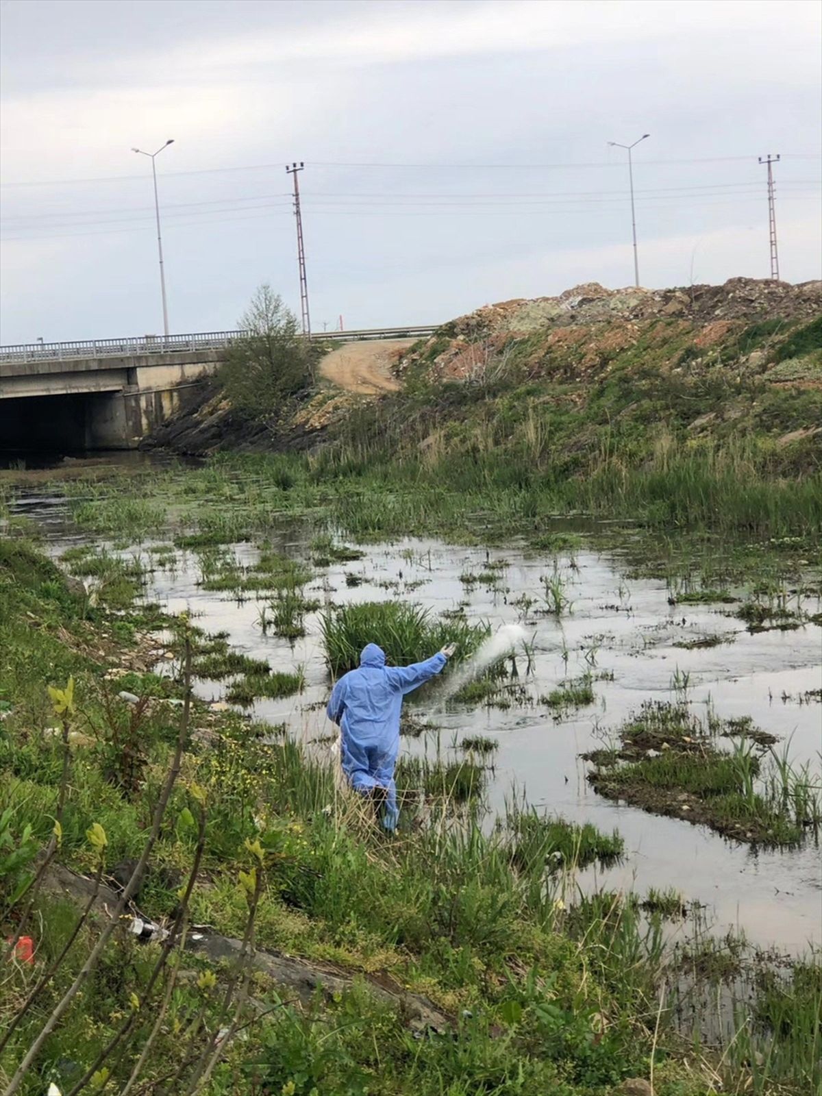 Görele\'de Turizm Haftası Sergisi Açıldı