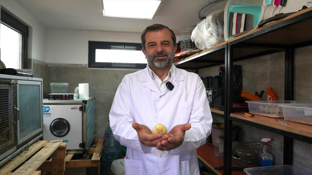 Gürsu Butik Hayvanat Bahçesi\'ne Yeni Hayvanlar Katıldı