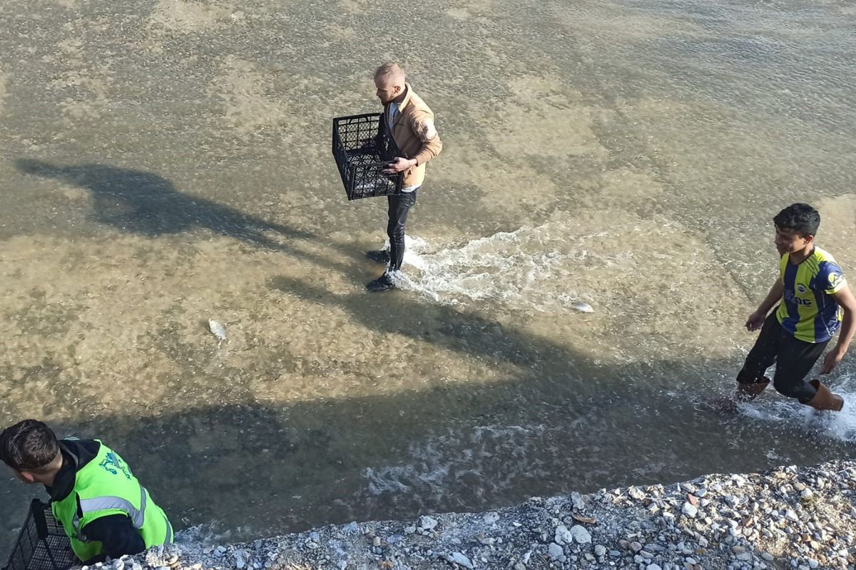 Haberi duyan balık toplamaya koştu