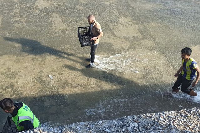 Haberi duyan balık toplamaya koştu