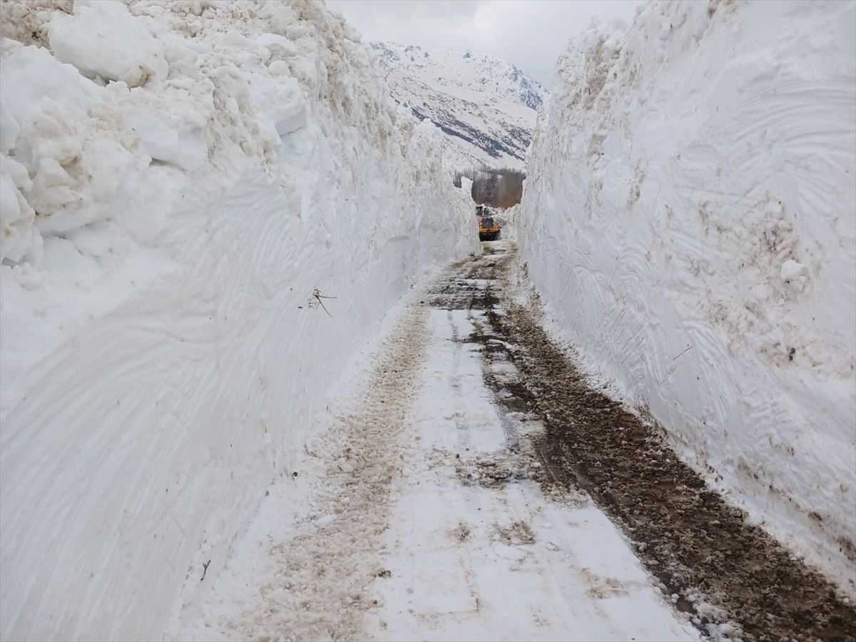 Hakkari\'de Karla Mücadele Çalışmaları