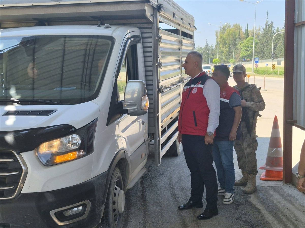 Antakya\'da Hayvan Taşıma Denetimi