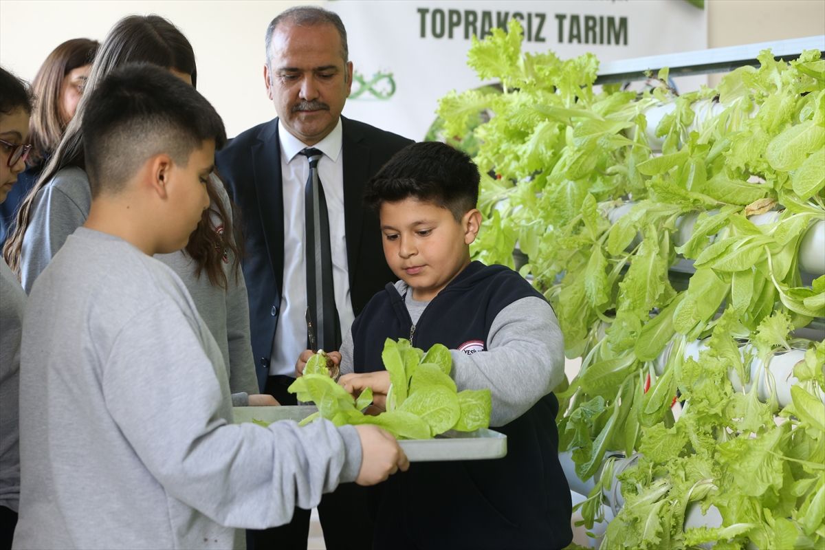 Dörtyol\'da Öğrenciler Topraksız Tarım Yetiştiriyor