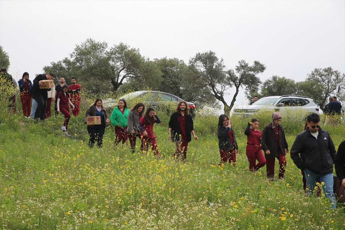 Hatay\'da Yaralı 10 Kuş Doğaya Salındı