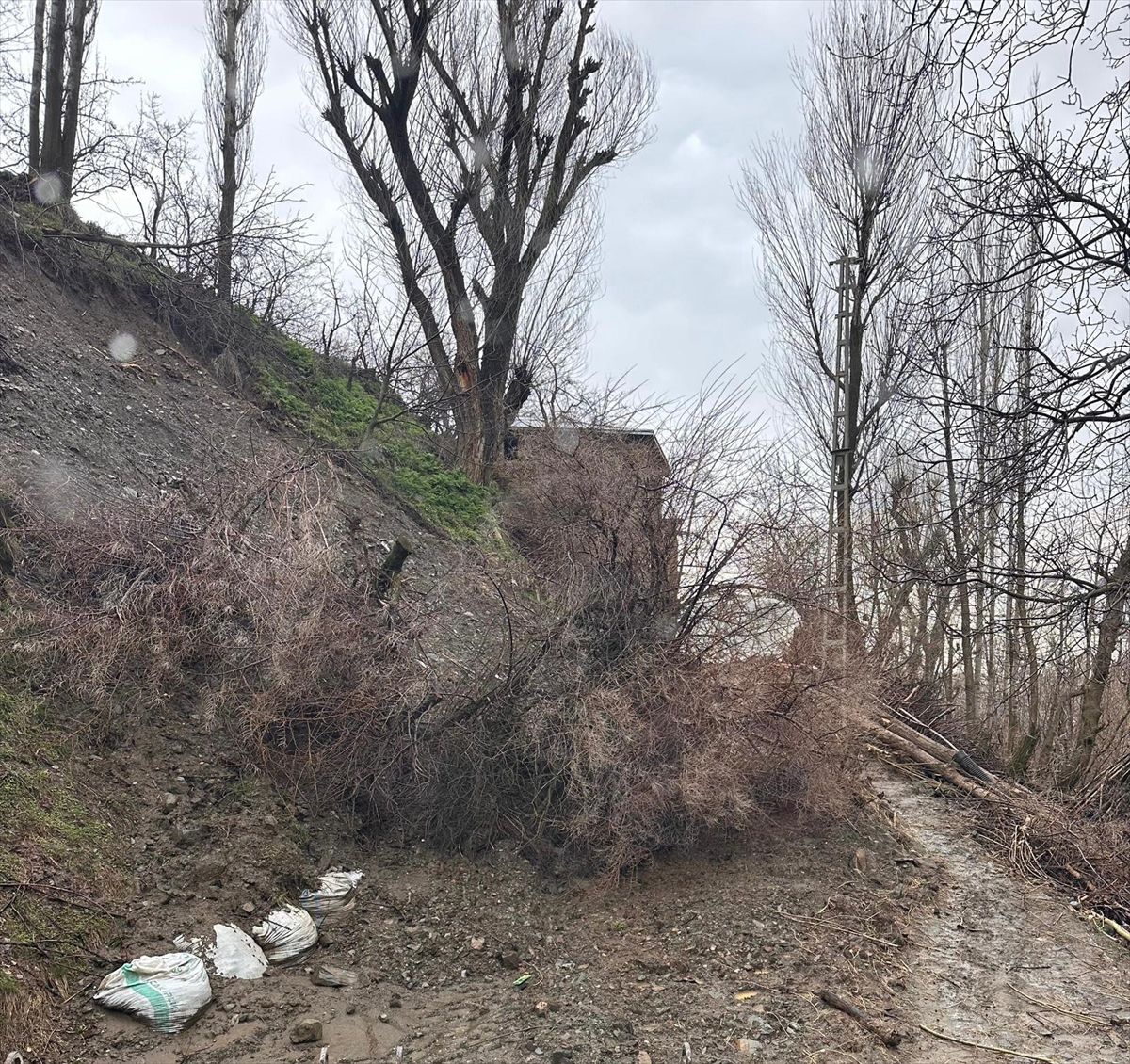 Hizan\'da Heyelan Nedeniyle Kapanan Yollar Açılıyor