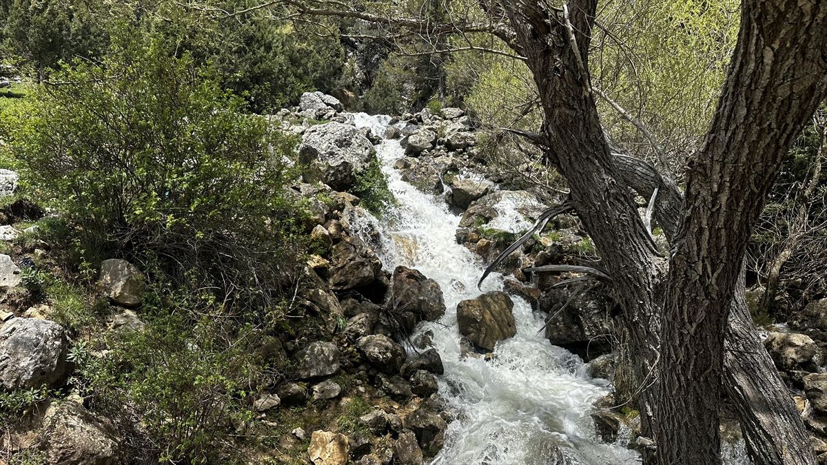 Isparta\'da Bahar Manzaraları
