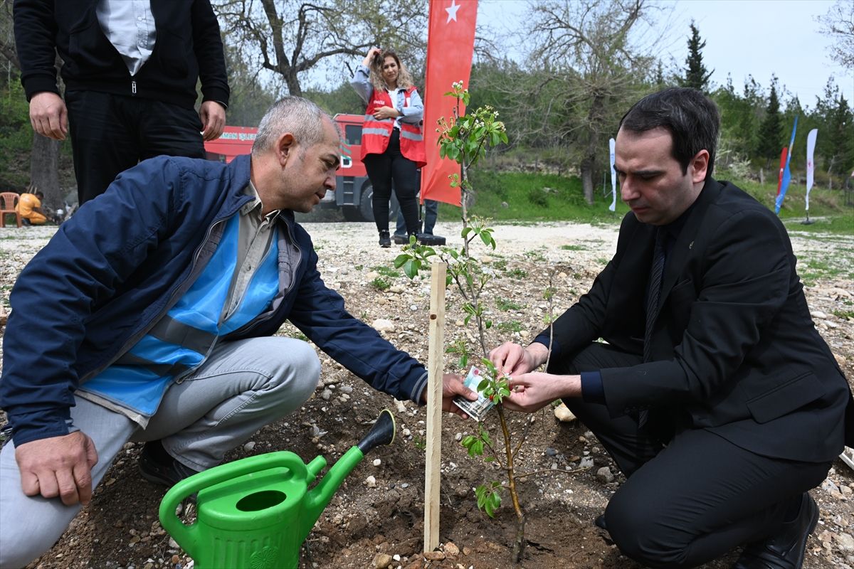 Kadirli\'de \'Adalet Ormanı\' Fidan Dikimi