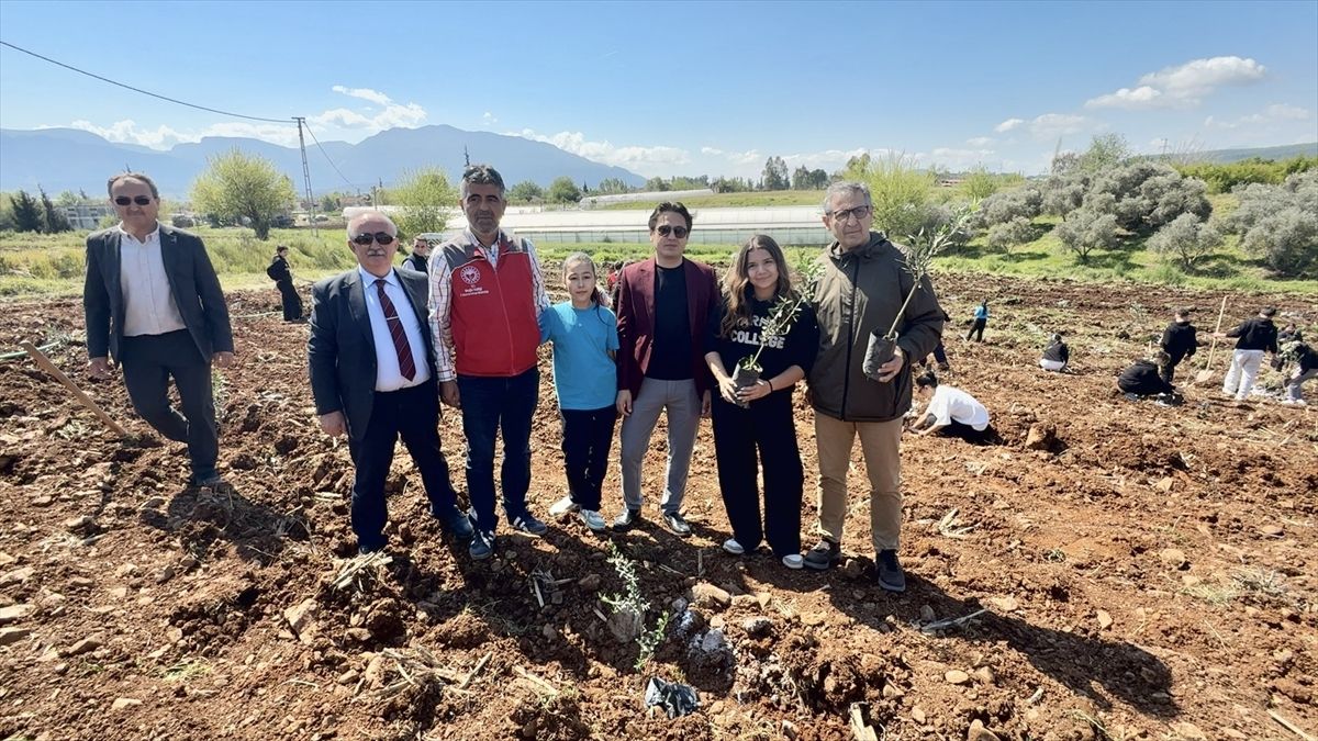 Hayatını Kaybedenler Anısına Zeytin Fidanları Dikildi