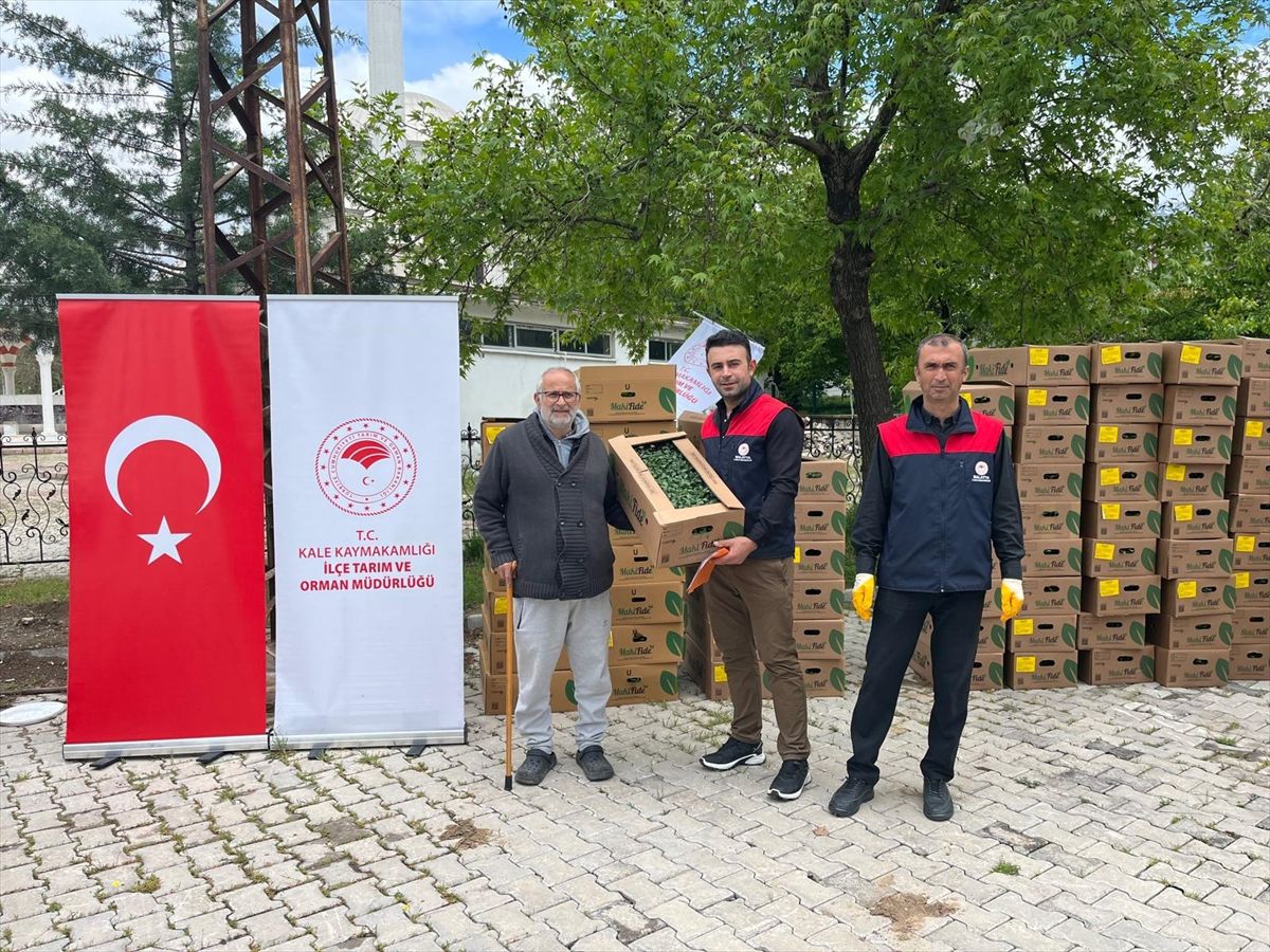 Malatya\'da Çiftçilere Hibe Fide Desteği