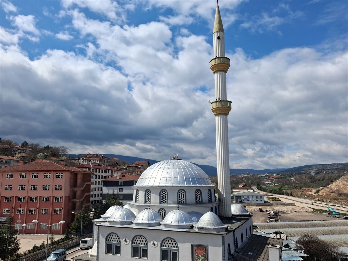 Eskipazar\'da Leylekler Camiyi Seçti