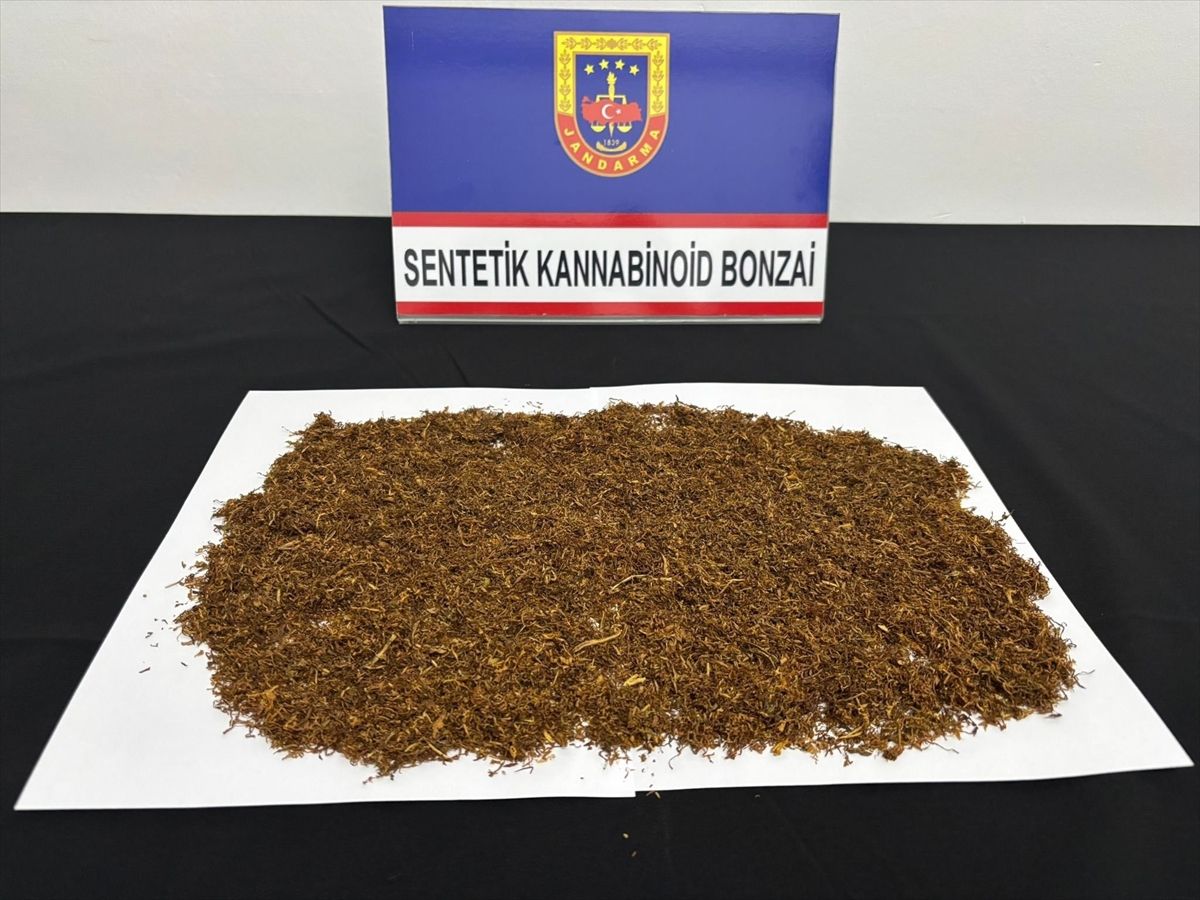 Karabük\'te 10 Zanlı Uyuşturucu Operasyonuyla Gözaltına Alındı