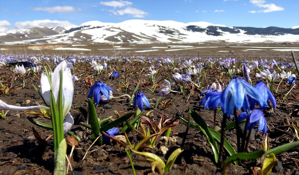 Kars\'ta Doğa Canlanıyor