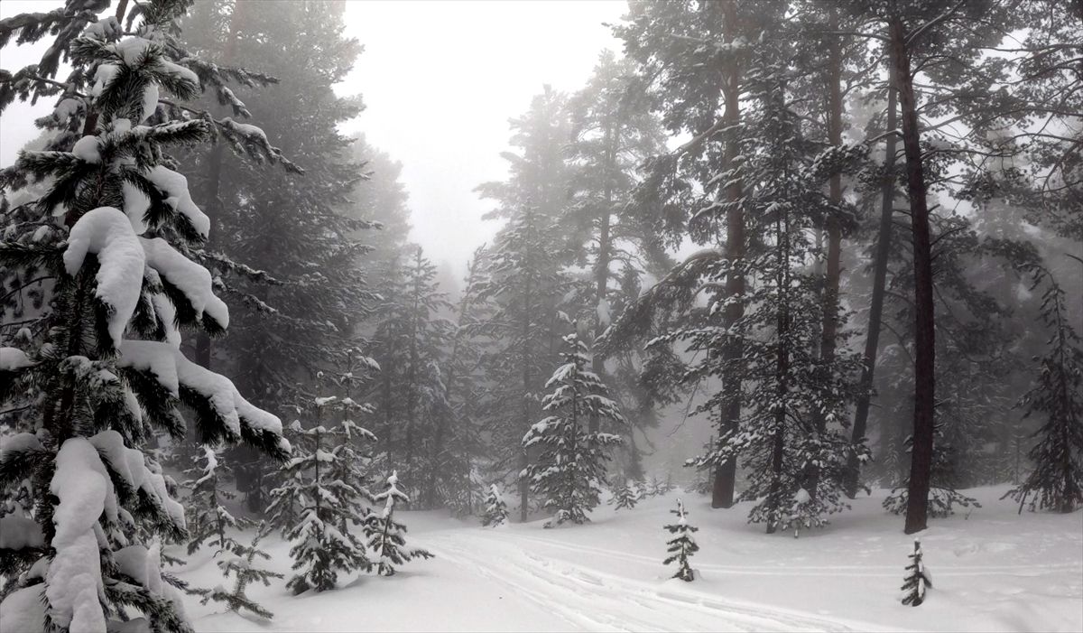 Sarıkamış\'ta Yoğun Sis