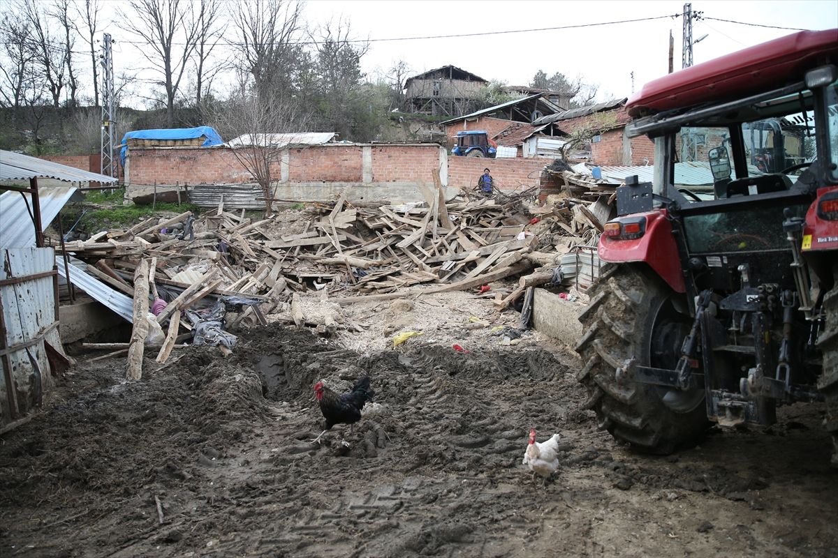 Kastamonu\'da Ahır Çöktü, 4 Hayvan Telef Oldu