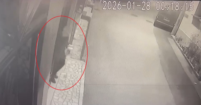 Kocasını öldürüp satırla 15 parçaya ayırdı! Kurtulmak için bakın ne yapmış