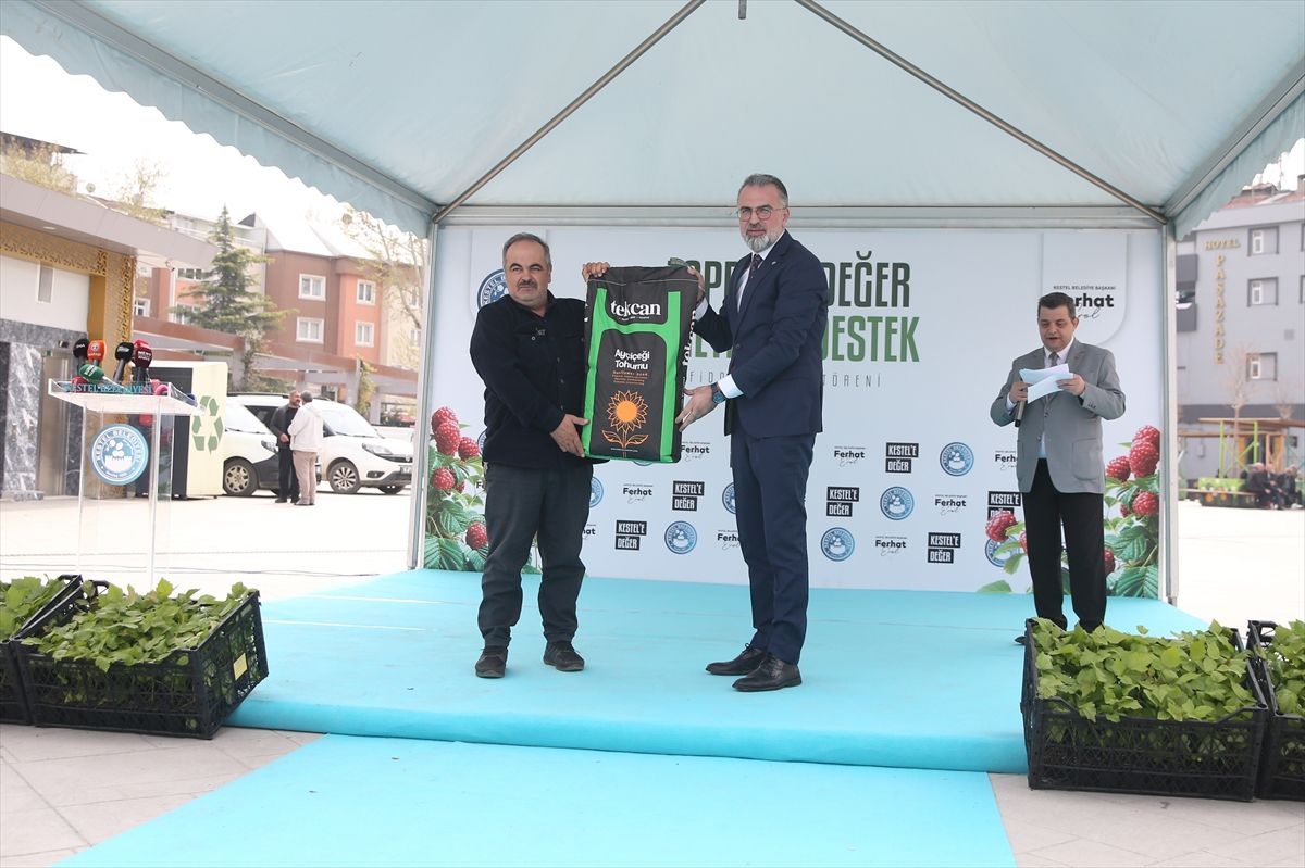 Kestel\'de Ahududu Fidanı Dağıtımı