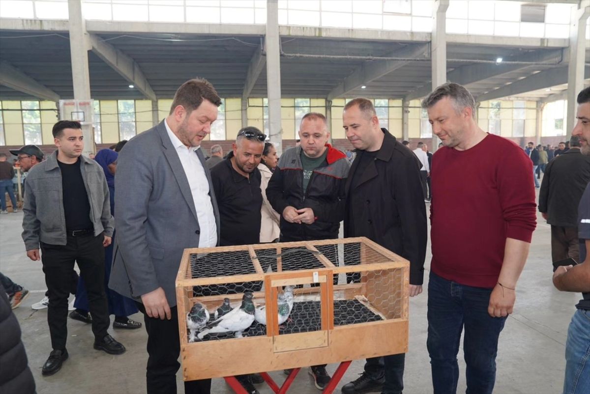 Pınarhisar\'da Kümes Hayvanları Festivali