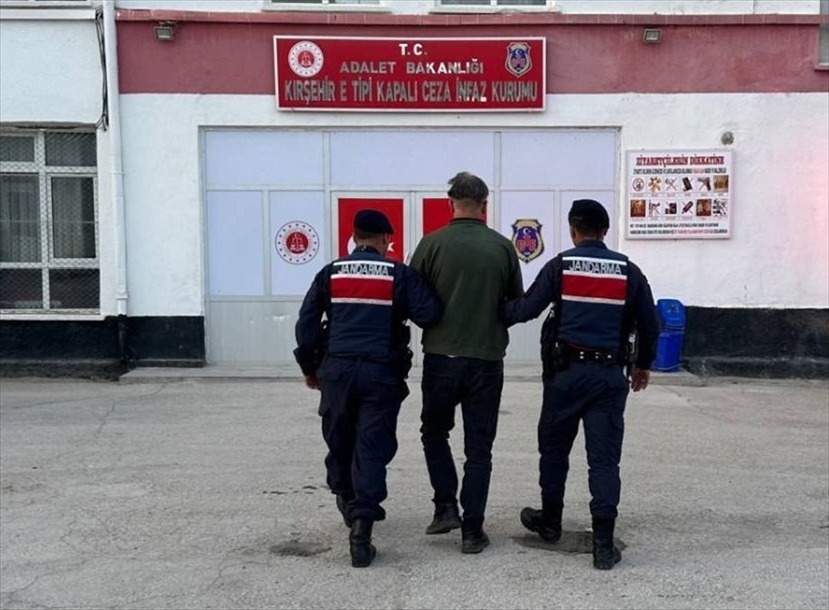 Sahipsiz Köpeği Vuran Şüpheli Tutuklandı