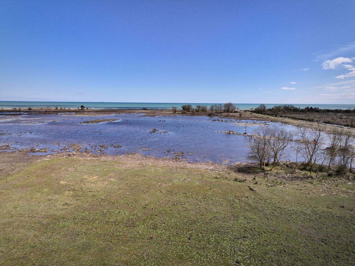 Kızılırmak Deltası\'nda Kuşlar İçin Yaşam Alanı!