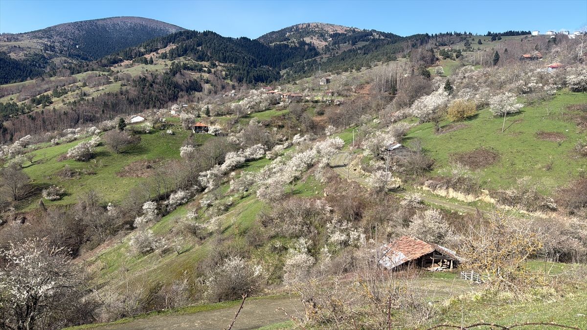 Kızlan\'da İlkbahar Manzarası