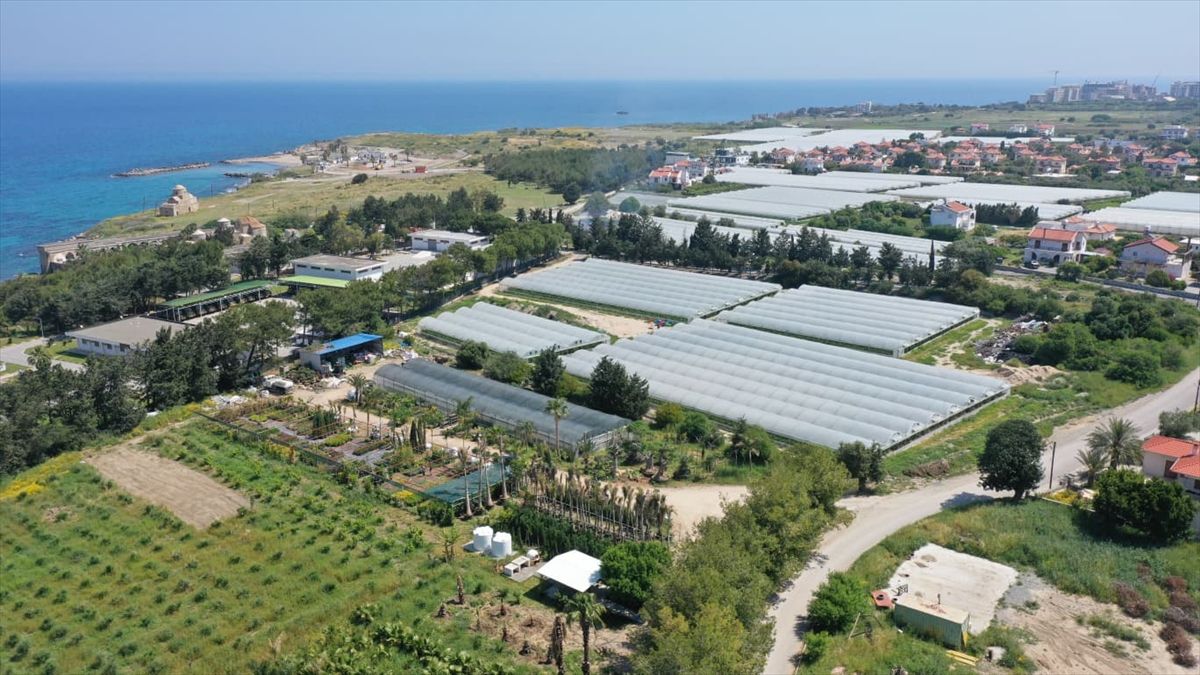 Yağmur Aydındağ ile Yerli Süs Bitkisi Üretimi