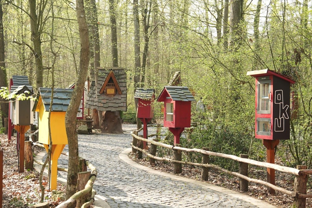 Ormanya\'da Kitap Keyfi