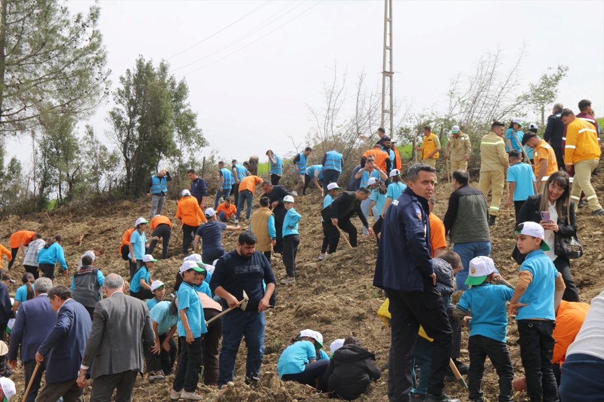 Kozan\'da 1500 Fidan Dikimi