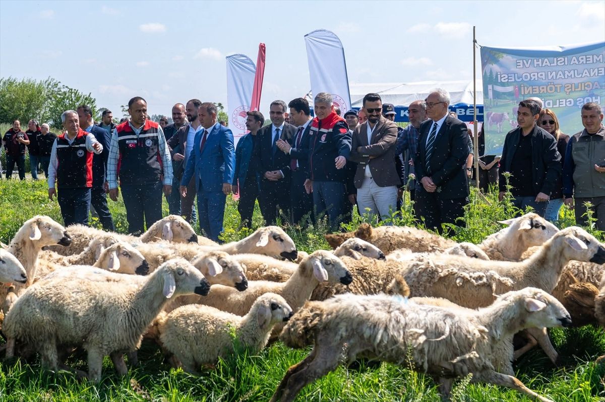 Kozan\'da 245 Dekarlık Mera Hizmete Girdi