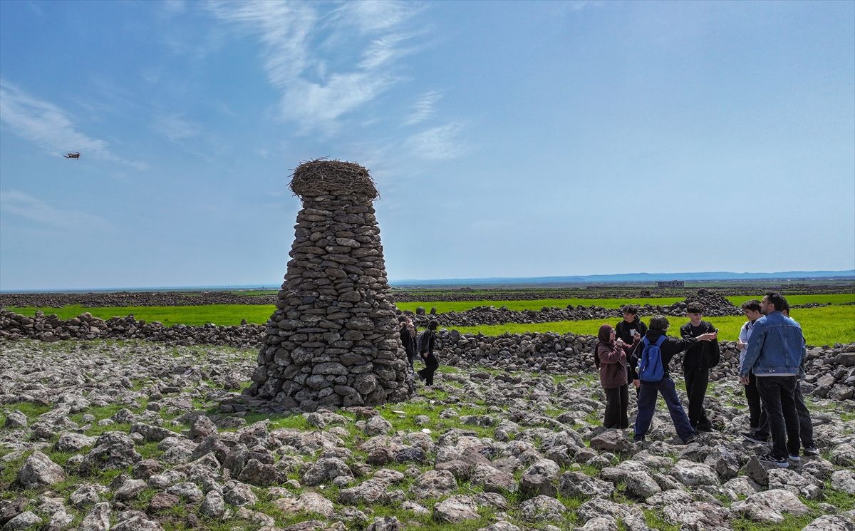 Diyarbakırlı Öğrenciler TÜBİTAK Finalinde