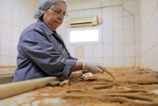 41 çeşidi karıştırıldı, kazanlar kaynadı! Tonlarca mesir macunu saçılacak
