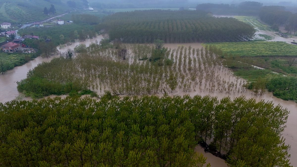 Sakarya\'da Melen Nehri Taşkınları Tarım Alanlarını Vurdu