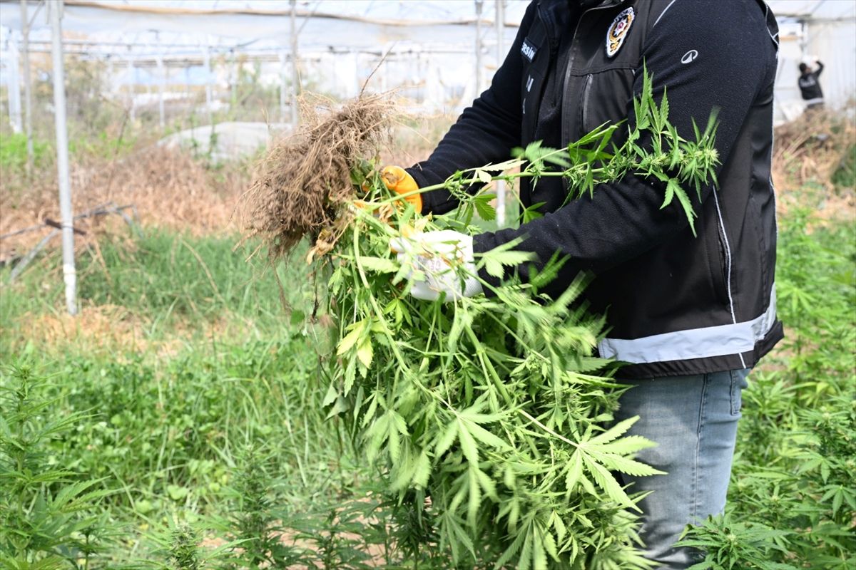 Tarsus\'ta Serada Uyuşturucu Üretimi: 3 Tutuklama