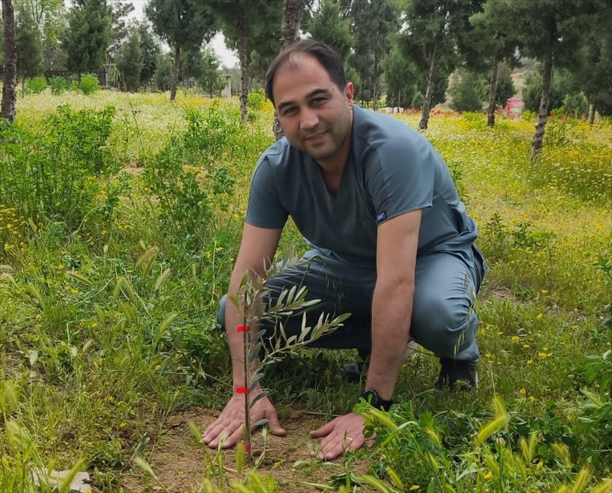 Mut Devlet Hastanesi\'nde 150 Zeytin Fidanı Dikti