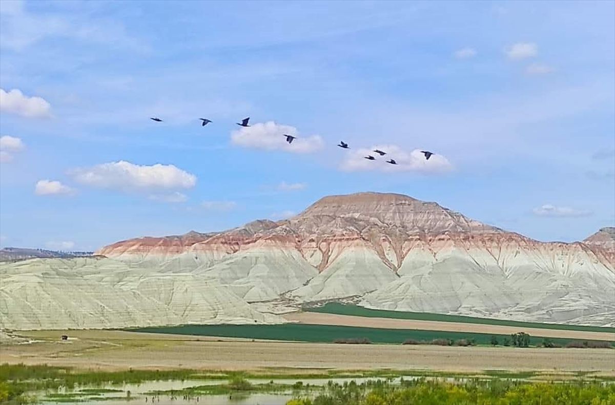 Nallıhan Kuş Cenneti Ziyaretçilerini Ağırlıyor