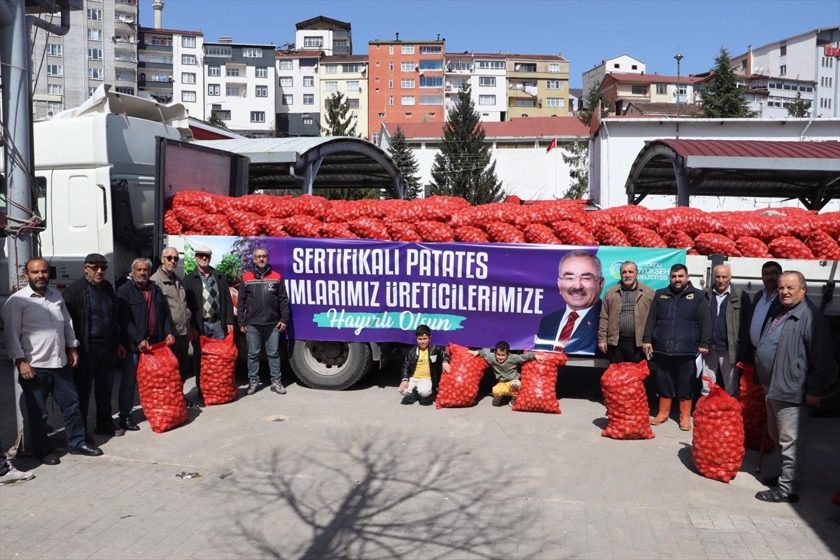 Ordu\'da 45 Ton Tohumluk Patates Dağıtımı