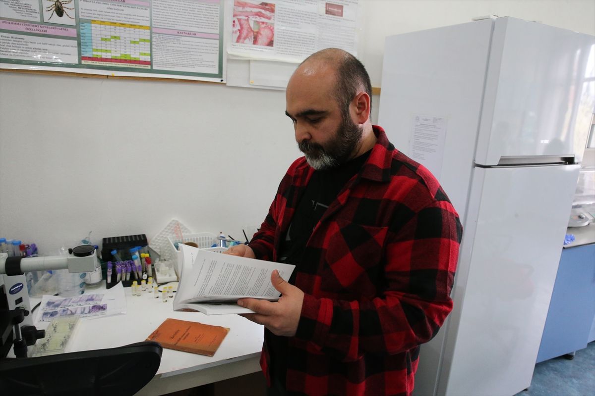 Orta Doğu\'da 101 Kene Türü İncelendi