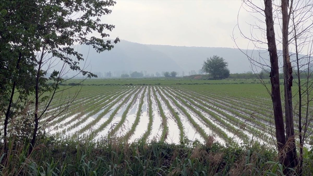 Osmaniye\'de Sağanak Tarım Arazilerini Vurdu