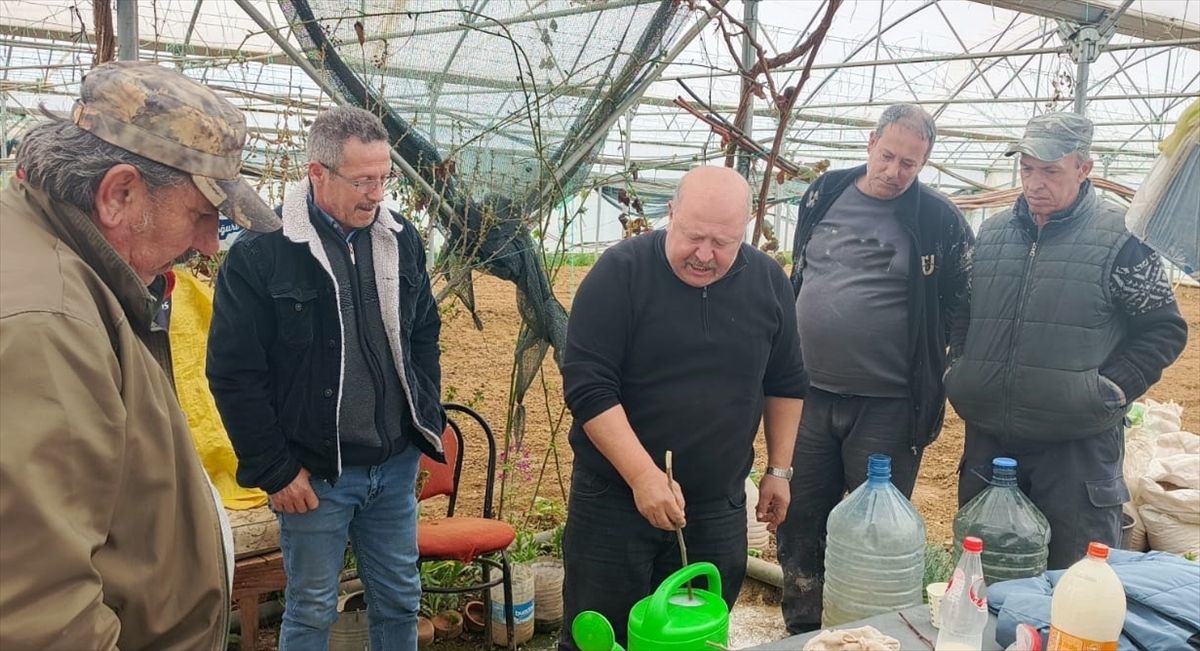 Pazaryeri\'nde Yeni Tütün Denemeleri Başladı