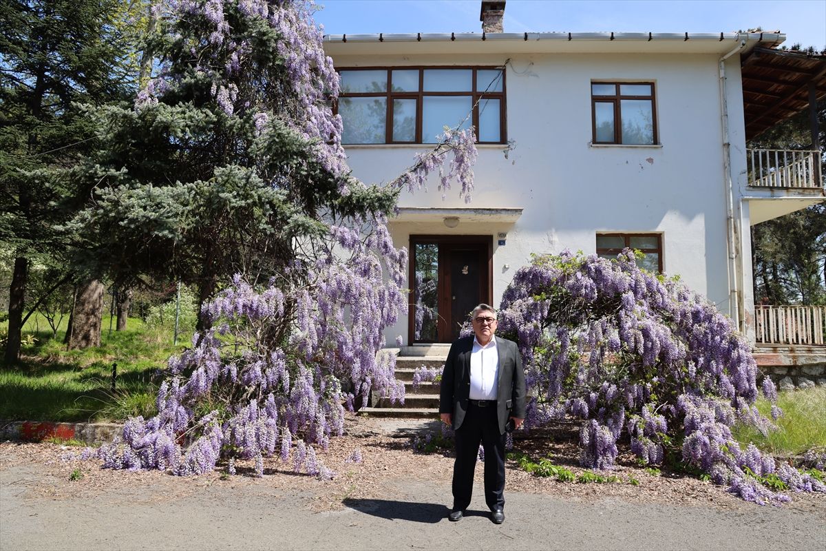Düşünce İkonu Duralı\'nın Evi Müze Oluyor