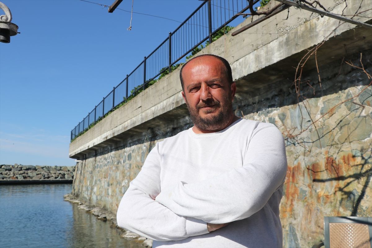 Rize\'de deri sırtlı deniz kaplumbağası görüldü