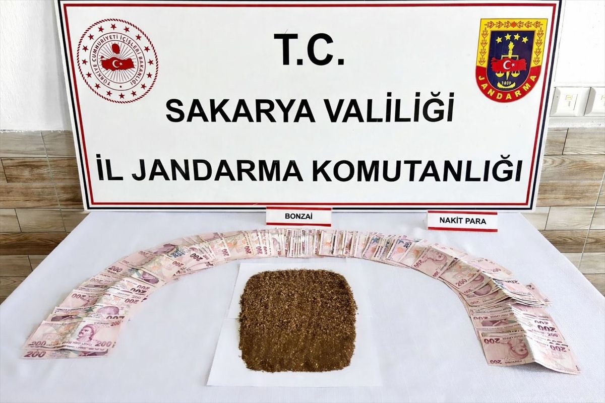 Karasu\'da Uyuşturucu Operasyonu: 1 Tutuklama
