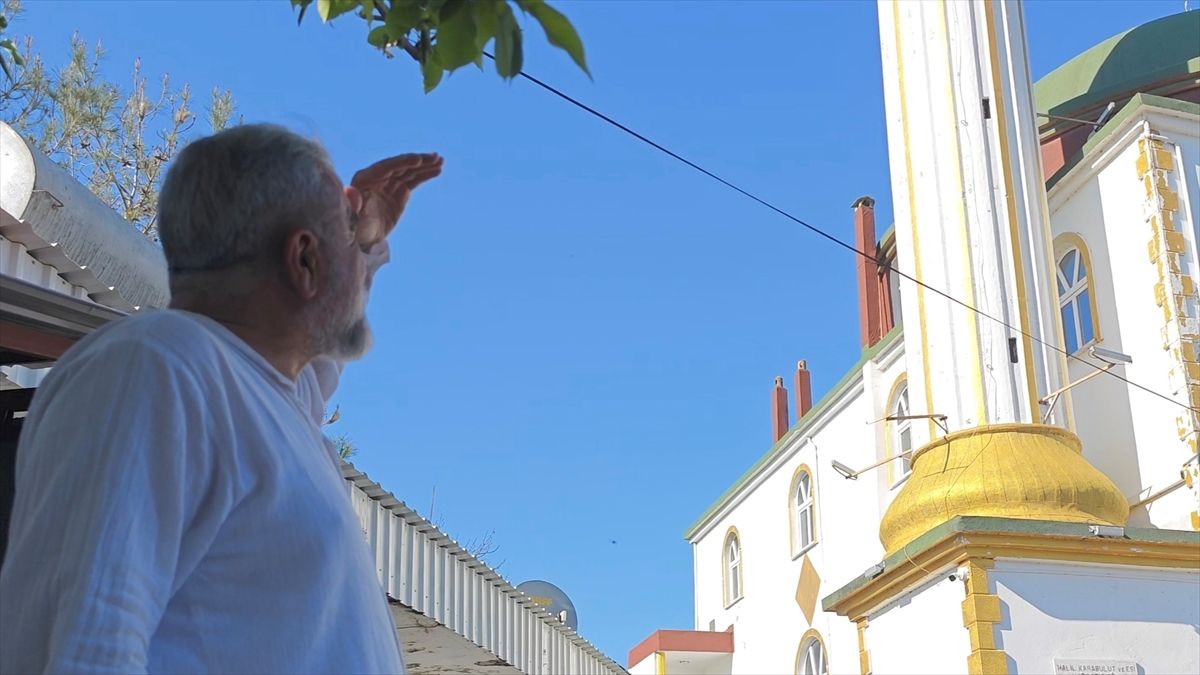 Kozköy Yeni Cami\'de Leylek Festivali