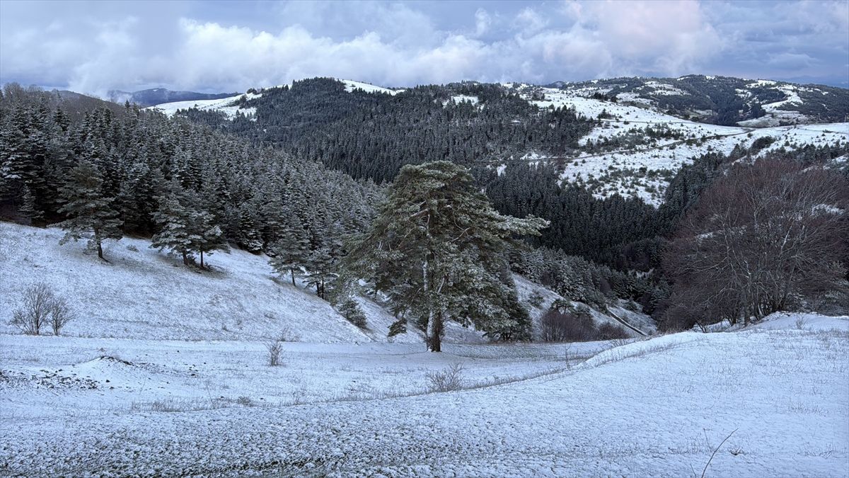 Alaçam\'da Nisan Ayında Kar Yağışı