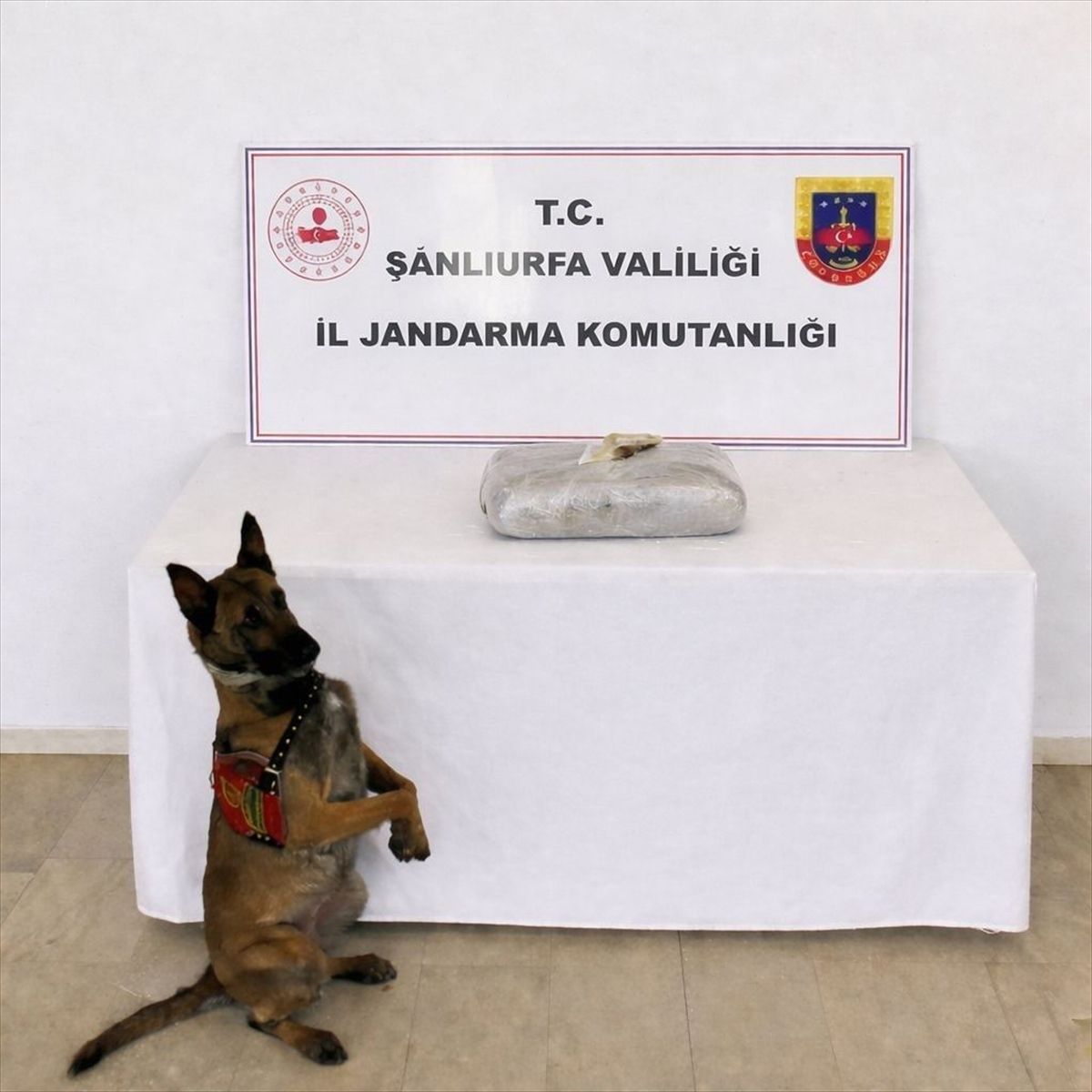 Birecik\'te Uyuşturucu Operasyonu