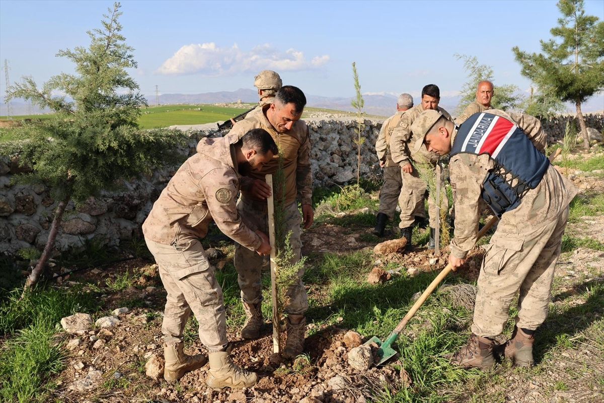 Kurtalan\'da 1000 Fidan Dikildi