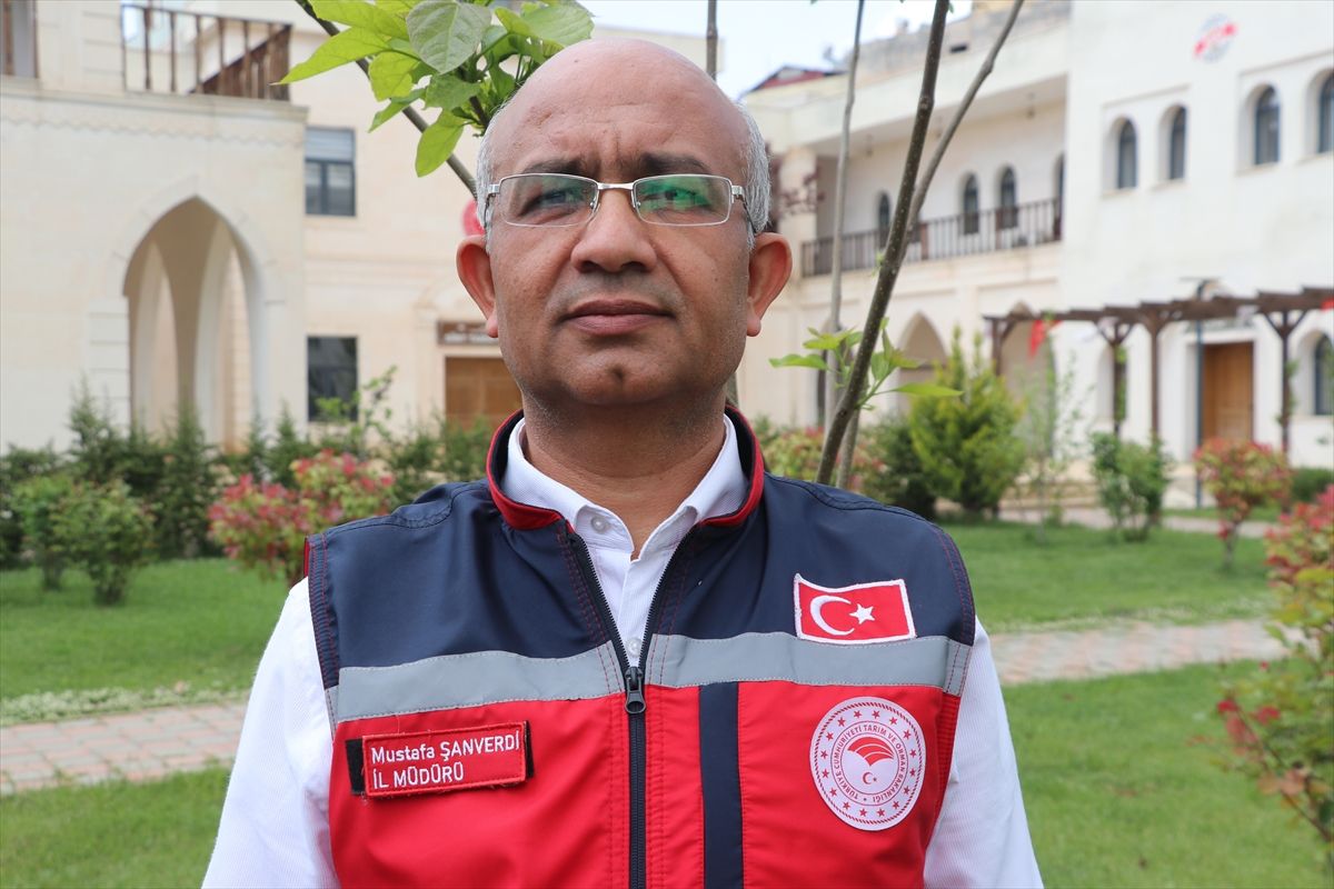 Siirt\'te Üreticilere Hibe Fide Desteği