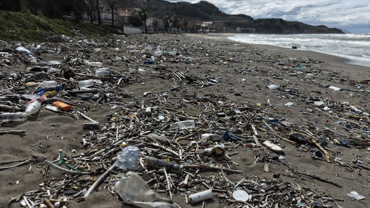 Türkeli Sahili Rüzgarla Çöplüğe Döndü